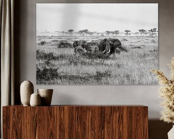 Elephants in the Masai Mara by Roland Brack