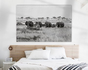 Elephants in the Masai Mara by Roland Brack