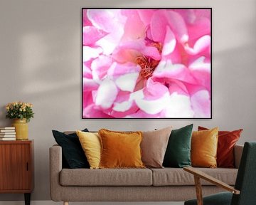 Bloemen