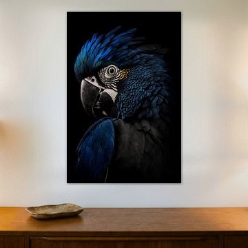 Papagei in Blau mit dunklem Hintergrund