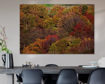 De kleurrijke herfst in het Limburgse heuvelland van Timo Videc