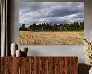 Een veld in de herfst na de oogst van Claude Laprise