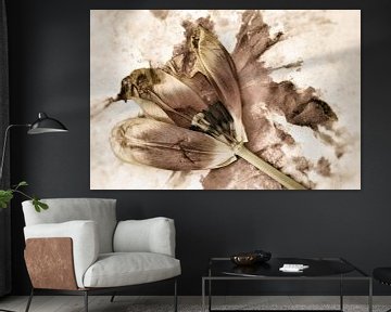 The beauty of an old tulip in earth tones by Lisette Rijkers