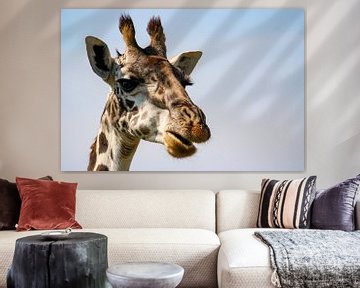 Portret van een giraffe van Roland Brack