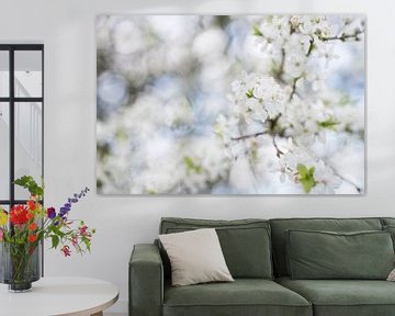 Mit dem Kopf in den Wolken (Foto von weißen Blüten) von Birgitte Bergman