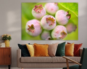 Roze bosbessen cluster