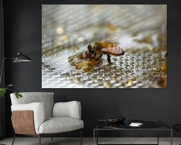 Honeybee Drinking Honey by Iris Holzer Richardson