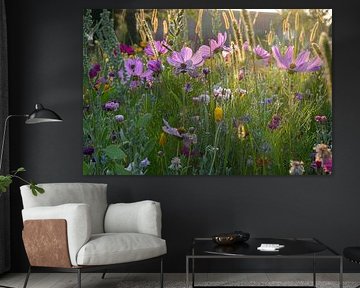 Flower meadow in Alsace by Tanja Voigt
