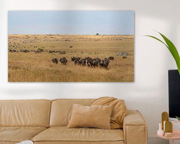 Die Wanderung der Gnus von Roland Brack