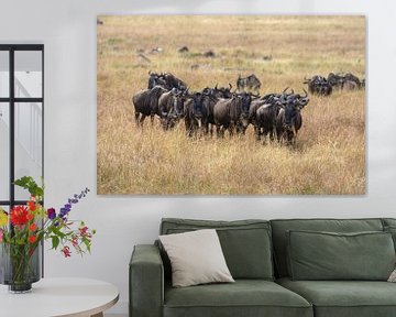 The migration of the wildebeest by Roland Brack