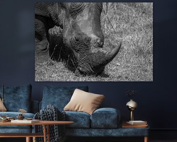 Wild rhino in Kenya by Roland Brack