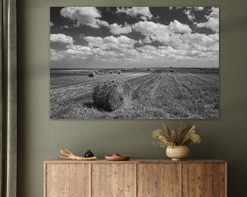 Hay bale in cornfield van Ilya Korzelius