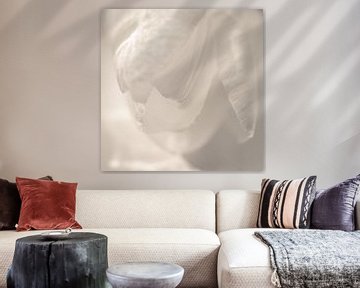 Witte tulp met licht schaduwpatroon van Sandra Hogenes