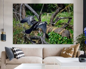 The piano bird by Frank's Awesome Travels