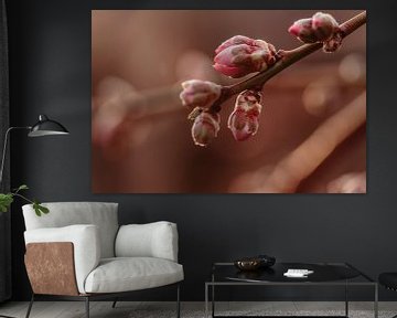 Almond Blossom by Tessa Heijmer