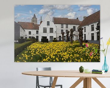 Oudenaarde Begijnhof in de lente van Imladris Images