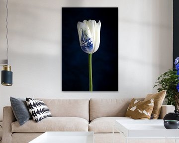 Made in Holland; white tulip and Delft blue by Clazien Boot