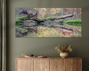 Panorama van een eekhoorn in het bos met herfstkleuren, vergezeld door een mooie vogel (meesje). van Nicky Depypere