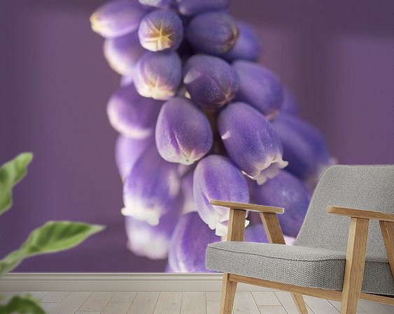 Raumvorschau