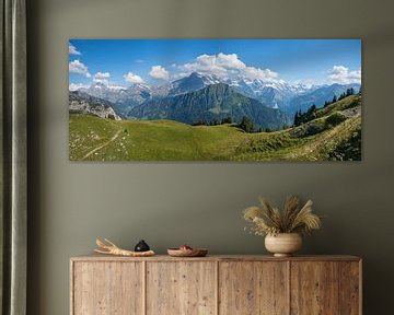 Alpenlandschap Berner Oberland met uitzicht op Männlichen van SusaZoom