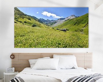 Kleurrijke bloemenweide Alpenlandschap St. Antönien Graubünden van SusaZoom