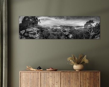 Panorama van het Pfälzerwald in sfeervol licht in zwart-wit. van Manfred Voss, Zwart-Wit Fotografie
