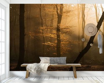 Ende des Herbstes im Speulderbos
