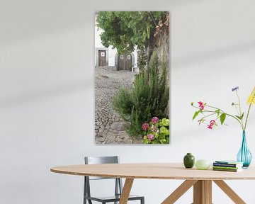 Courtyard in Castelo de Vide by Frans Collette