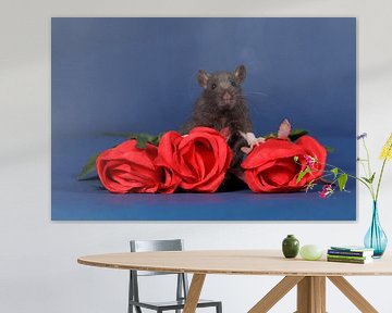 Schattige zwarte baby rat met rode rozen van Dagmar Hijmans
