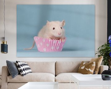 Schattige crème kleurige baby rat in een roze cupcake van Dagmar Hijmans