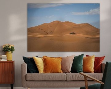 Characteristic warm-orange dunes at Erg Chebbi by Tobias van Krieken