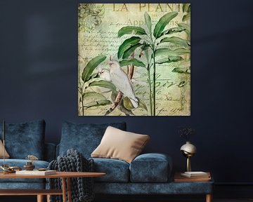 Cockatoos exotic paradise