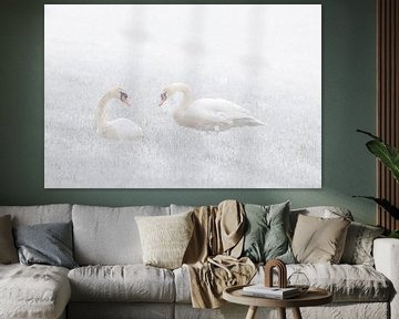 Swans in the snow by natascha verbij