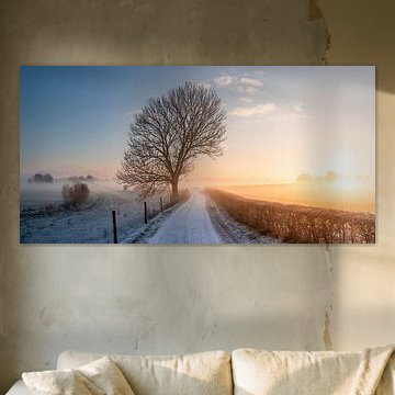 Schnee, Nebel und ein schöner Sonnenaufgang auf dem Ooijpolder