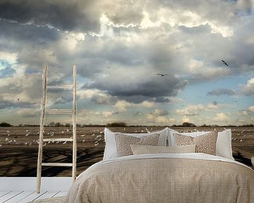 Hollands Landschap - Meeuwen op akker