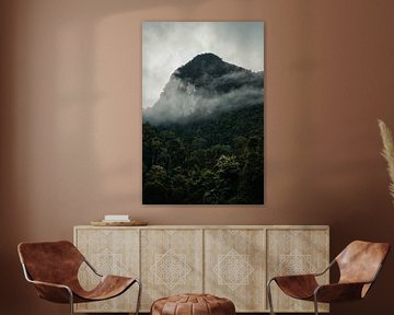 De bergen en jungle in Khao Sok, Thailand van Nathanael Denzel Allen
