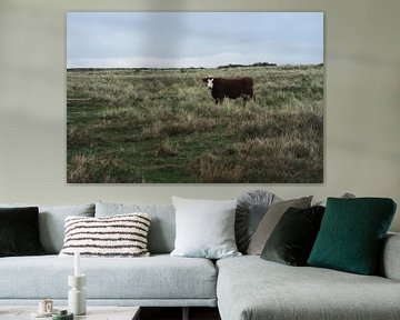 Nederlandse koe op Ameland van Romy de Waal