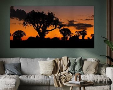 Zonsondergang in Namibië van Roland Brack