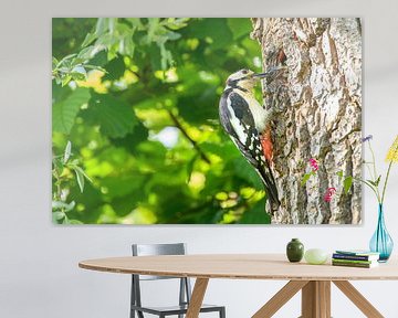 Grote bonte specht voedt een kuiken in zijn hol in een boom van Sjoerd van der Wal Fotografie