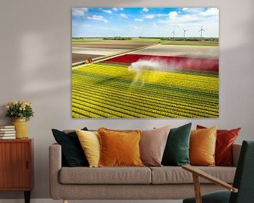 Tulips in a field sprayed by an agricultural sprinkler by Sjoerd van der Wal Photography