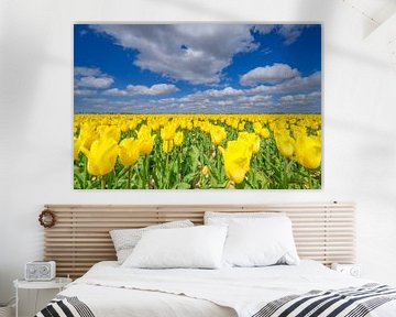 Tulpen in het veld in het voorjaar van Sjoerd van der Wal Fotografie