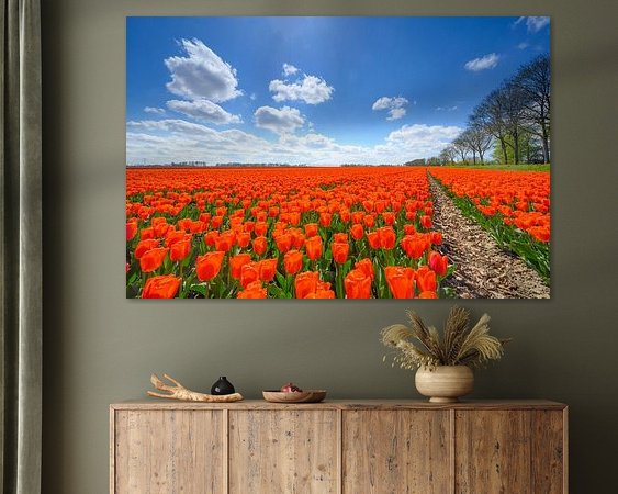 Voorbeeld van het werk in een kamer