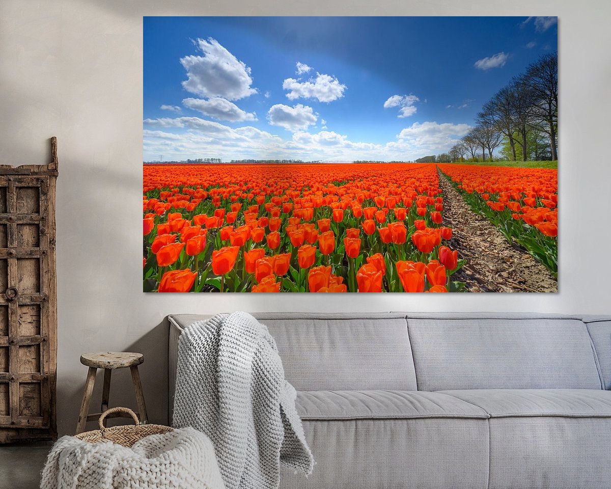 Voorbeeld van het werk in een kamer
