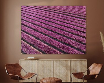 Paarse tulpen in een veld van bovenaf gezien van Sjoerd van der Wal Fotografie