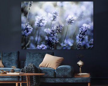 Flowering lavender digital art by KB Design & Photography (Karen Brouwer)