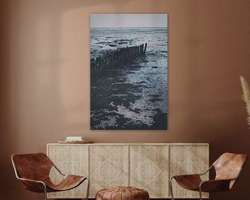 Landscape of the Wadden Sea. Moddergat, Friesland by Denise Tiggelman