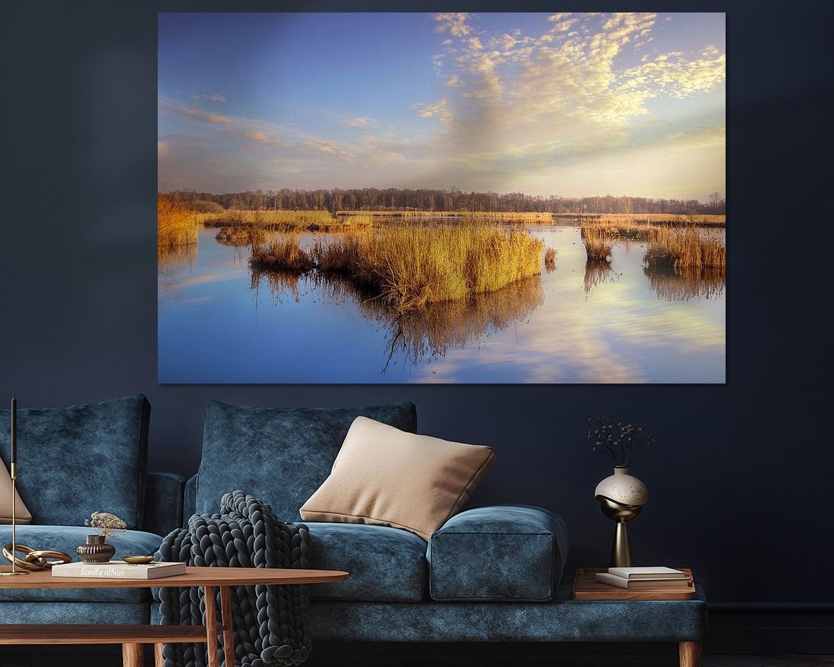 Raumvorschau