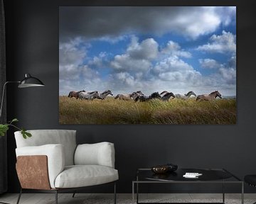 Galloping wild horses in long grass in Ireland. by Albert Brunsting