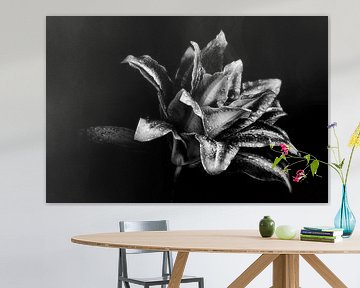 Lovely Lily - Black and White by marlika art