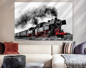 Steam locomotive driving in the countryside by Sjoerd van der Wal